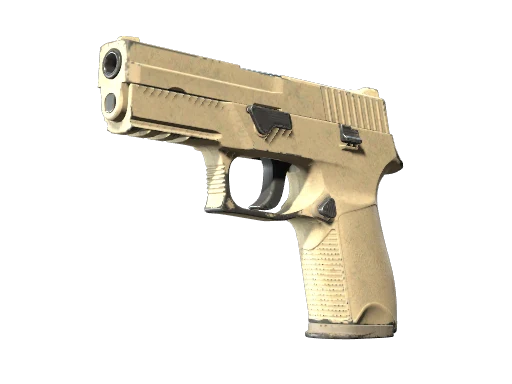 P250 | Sand Dune (Well-Worn)